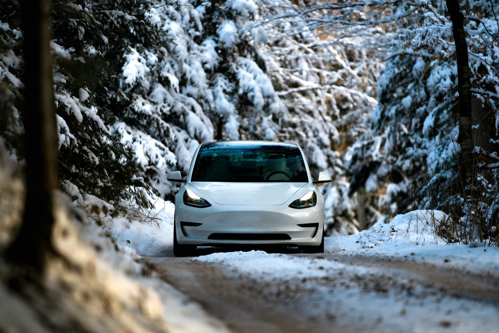 tesla in snow