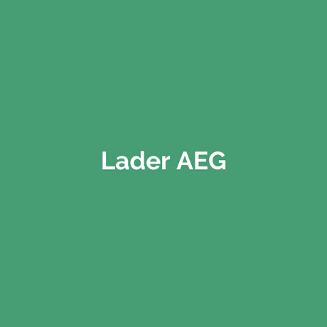 Lader AEG