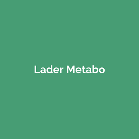 Lader Metabo